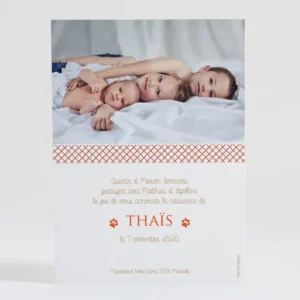Faire-part de naissance Renardeau simple*Faire-part Elégant New