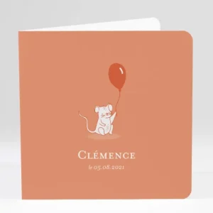 Faire-part de naissance Souriceau*Faire-part Elégant New