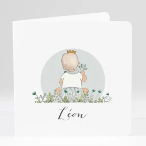 Faire-part de naissance Spring baby boy*Faire-part Elégant Sale