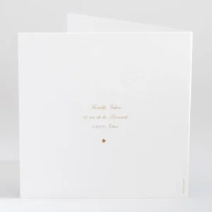 Faire-part de naissance Surprise*Faire-part Elégant New