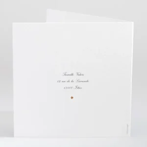 Faire-part de naissance Surprise*Faire-part Elégant New