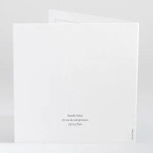 Faire-part de naissance Sweety brothers*Faire-part Elégant Outlet