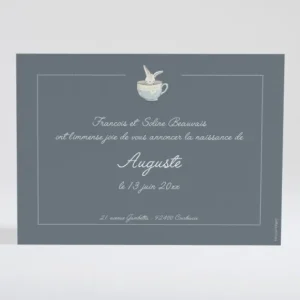 Faire-part de naissance Sweet rabbit*Faire-part Elégant New