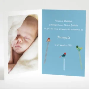 Faire-part de naissance Triple oiseaux avec photo*Faire-part Elégant Online