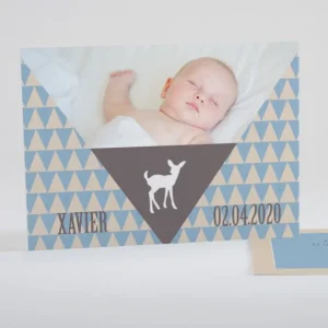 Faire-part de naissance Triangle paysage*Faire-part Elégant New