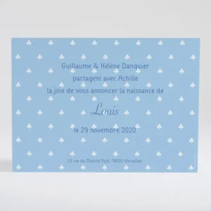 Faire-part de naissance Trefles delicats*Faire-part Elégant Discount