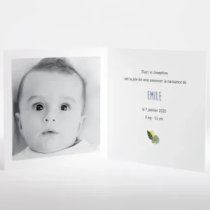 Faire-part de naissance Tropical*Faire-part Elégant Discount