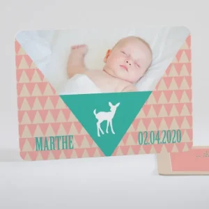 Faire-part de naissance Triangle paysage*Faire-part Elégant New