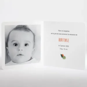 Faire-part de naissance Tropical*Faire-part Elégant Discount