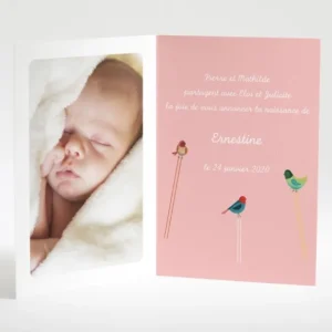 Faire-part de naissance Triple oiseaux avec photo*Faire-part Elégant Online
