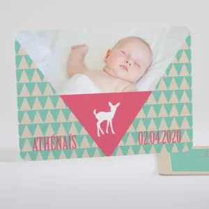 Faire-part de naissance Triangle paysage*Faire-part Elégant New