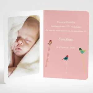 Faire-part de naissance Triple oiseaux avec photo*Faire-part Elégant Online