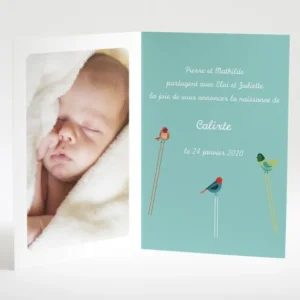Faire-part de naissance Triple oiseaux avec photo*Faire-part Elégant Online