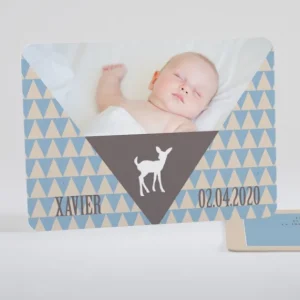 Faire-part de naissance Triangle paysage*Faire-part Elégant New