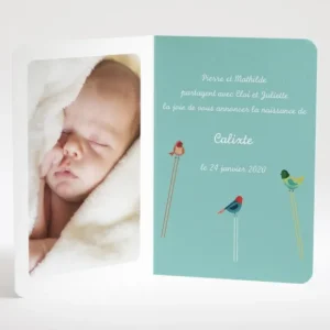Faire-part de naissance Triple oiseaux avec photo*Faire-part Elégant Online