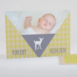 Faire-part de naissance Triangle paysage*Faire-part Elégant New