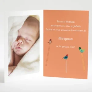 Faire-part de naissance Triple oiseaux avec photo*Faire-part Elégant Online