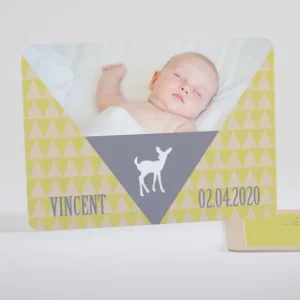 Faire-part de naissance Triangle paysage*Faire-part Elégant New