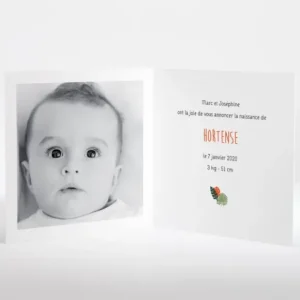 Faire-part de naissance Tropical*Faire-part Elégant Discount