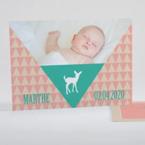 Faire-part de naissance Triangle paysage*Faire-part Elégant New