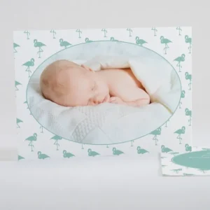 Faire-part de naissance Vive les flamants roses*Faire-part Elégant Discount