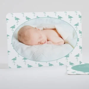 Faire-part de naissance Vive les flamants roses*Faire-part Elégant Discount