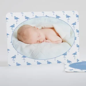 Faire-part de naissance Vive les flamants roses*Faire-part Elégant Discount