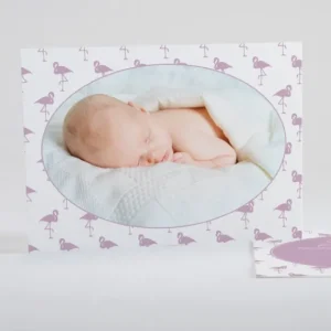 Faire-part de naissance Vive les flamants roses*Faire-part Elégant Discount