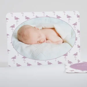 Faire-part de naissance Vive les flamants roses*Faire-part Elégant Discount