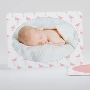 Faire-part de naissance Vive les flamants roses*Faire-part Elégant Discount