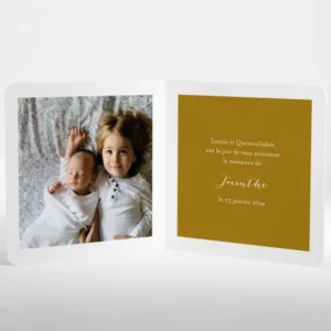 Faire-part de naissance Winter*Faire-part Elégant New