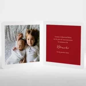 Faire-part de naissance Winter*Faire-part Elégant New