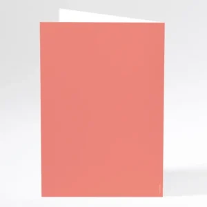 Livret de messe mariage Tradi rectangle couleur*Faire-part Elégant Fashion