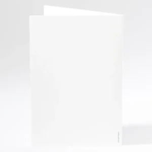 Menu mariage Elegantes baies*Faire-part Elégant New