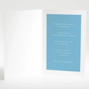 Menu mariage Jolies tomettes*Faire-part Elégant Sale