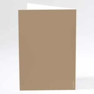 Menu mariage Traditionnel couleur*Faire-part Elégant Discount