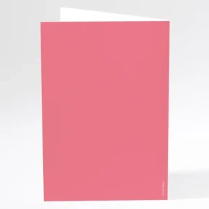 Menu mariage Traditionnel couleur*Faire-part Elégant Discount