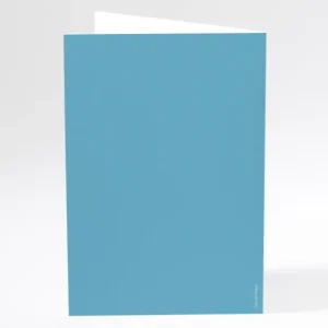 Menu mariage Traditionnel couleur*Faire-part Elégant Discount
