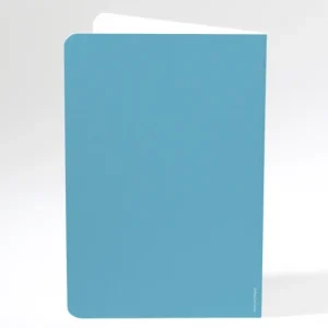 Menu mariage Traditionnel couleur*Faire-part Elégant Discount