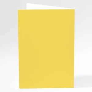 Menu mariage Traditionnel couleur*Faire-part Elégant Discount
