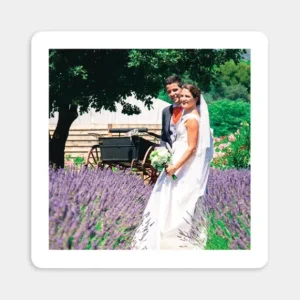 Remerciements mariage Traditionnel couleur*Faire-part Elégant Online