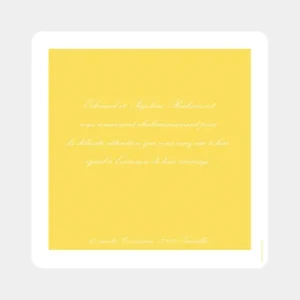 Remerciements mariage Traditionnel couleur*Faire-part Elégant Online