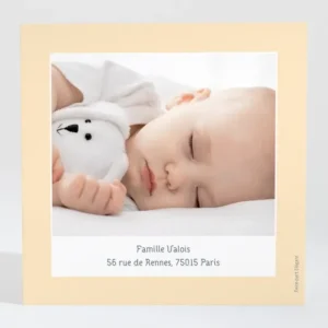 Remerciements naissance Calin frangine*Faire-part Elégant Sale