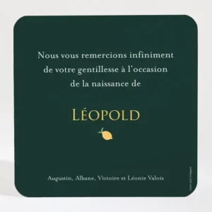 Remerciements naissance Citronne*Faire-part Elégant Sale