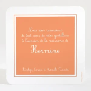 Remerciements naissance Cadre sobre et elegant*Faire-part Elégant Online
