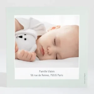 Remerciements naissance Calin frangin*Faire-part Elégant Sale