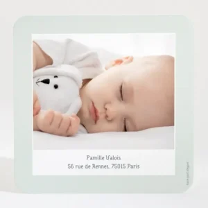 Remerciements naissance Calin frangin*Faire-part Elégant Sale