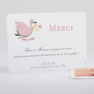 Remerciements naissance Cigogne*Faire-part Elégant Best