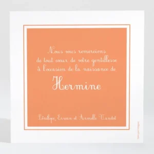 Remerciements naissance Cadre sobre et elegant*Faire-part Elégant Online