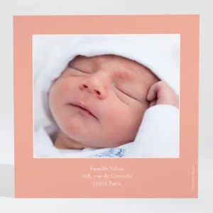 Remerciements naissance Doux agneau*Faire-part Elégant Clearance
